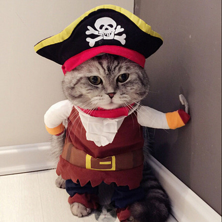 emulsie Heel Herformuleren Piratenkostuum" voor kat