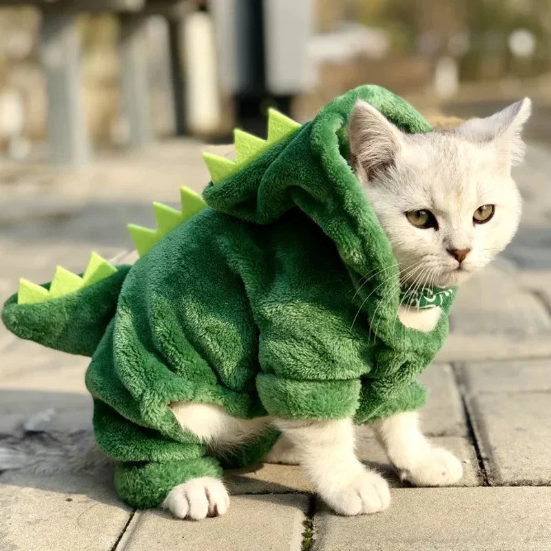 Draak- en dinosauruspakje voor katten KattenPret.com